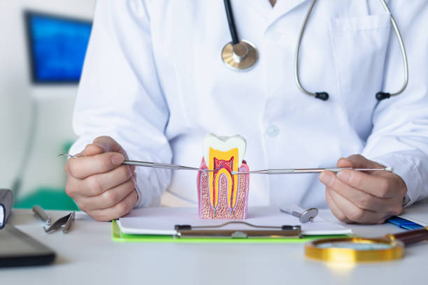 Best Emergency Dentist for Knocked-Out Tooth in Panama City Beach, FL